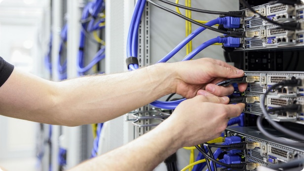Collaborate with leading researchers, engineers and global partners.