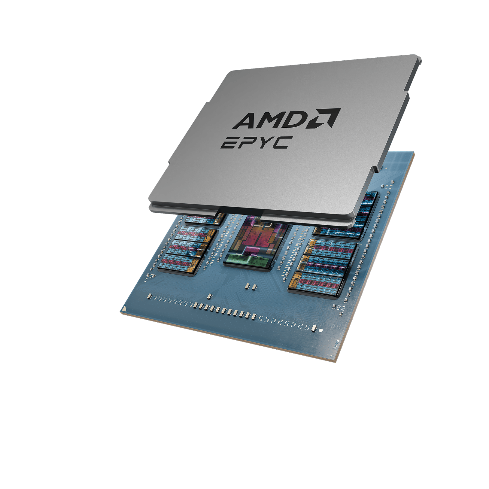 Accelerate Your Infrastructure with DALCO Servers and AMD EPYC&trade; 9005