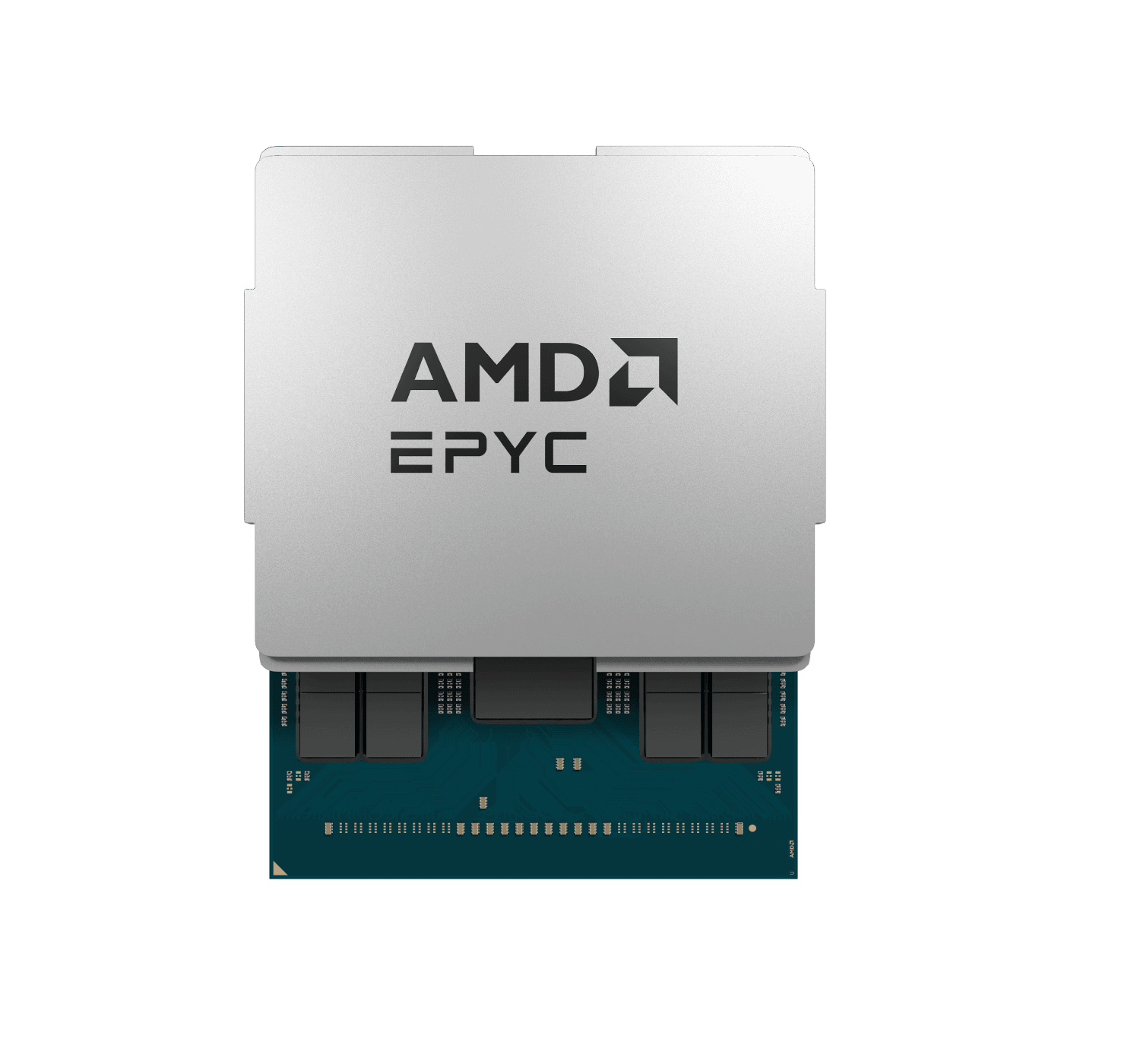 AMD-powered systems.
Built by DALCO.